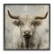 Stupell Industries Fluffy Longhorn Cattle Framed Giclee Wall Art Design by Steve Huntziker